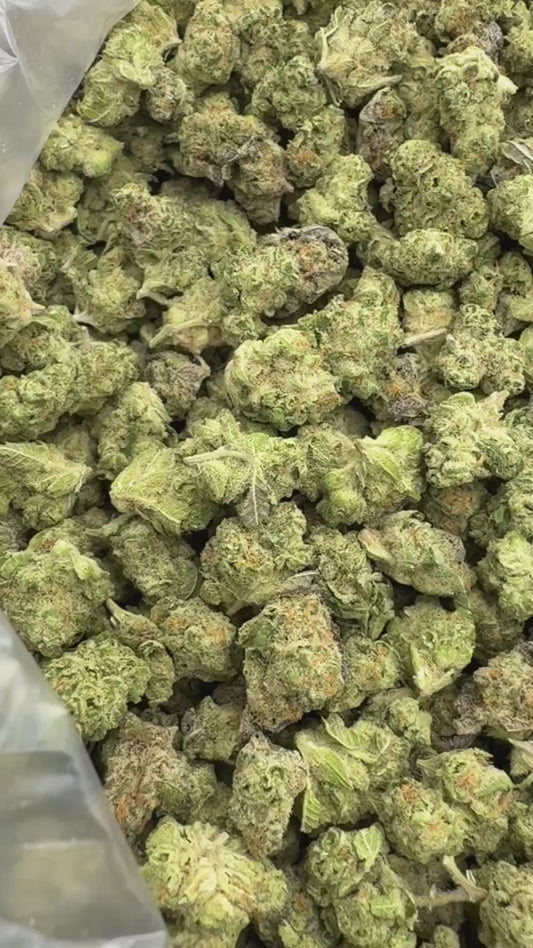 Dip N' Stix Minis - Bulk Minis - Hybrid