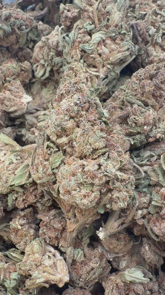 Winter Breath - Bulk - Hybrid