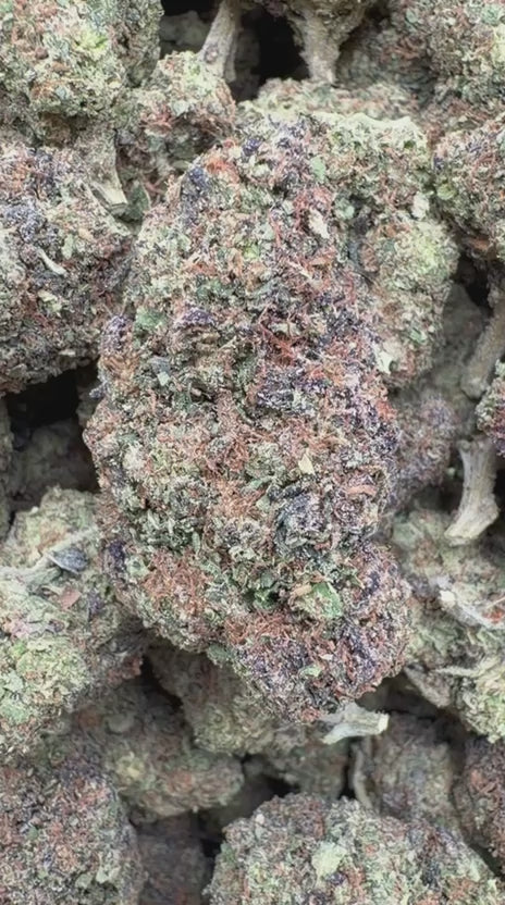 Cherry Warheads - Bulk - Hybrid