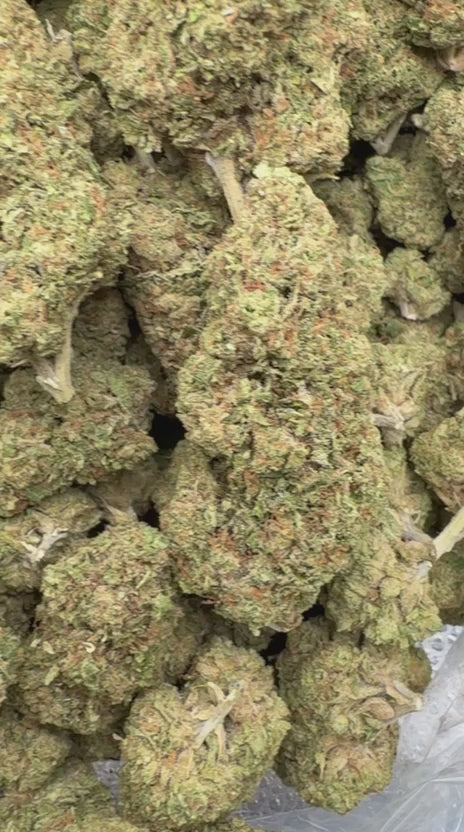 Lemon Kush - Bulk - Hybrid