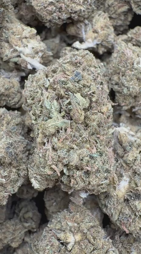 Hella Jelly - Bulk  - Sativa