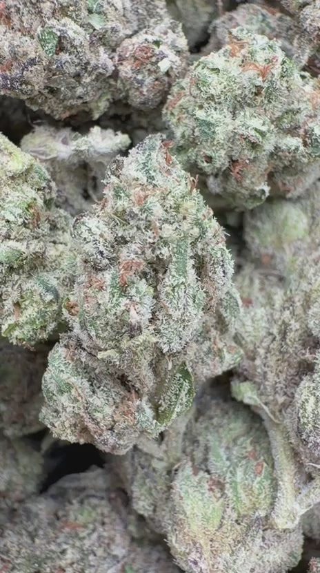 Chem Dawg Indoor - Bulk - Hybrid