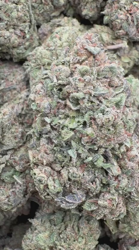 Heir Heads - Bulk - Indica