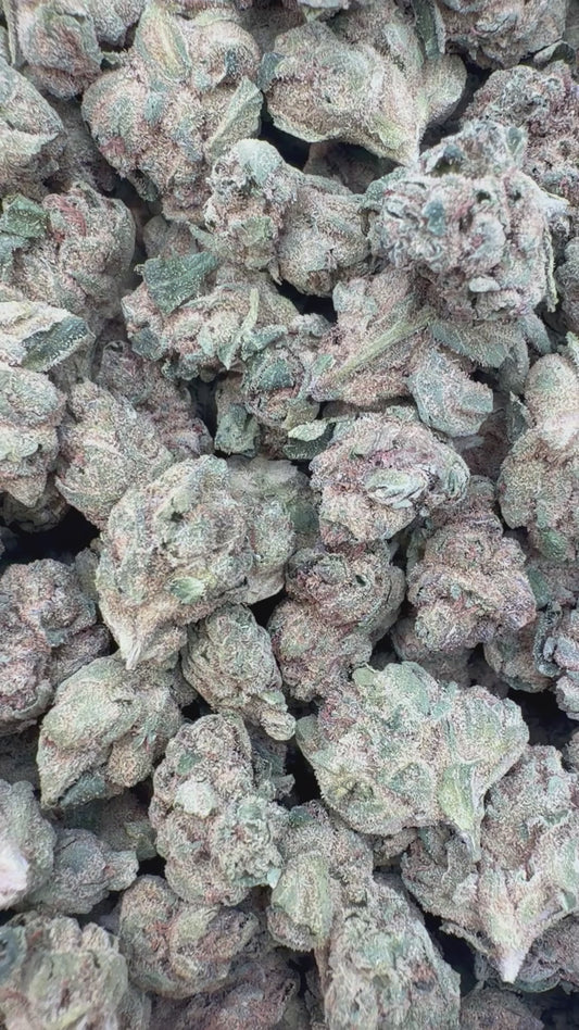 White Runtz Minis - Bulk Minis - Hybrid