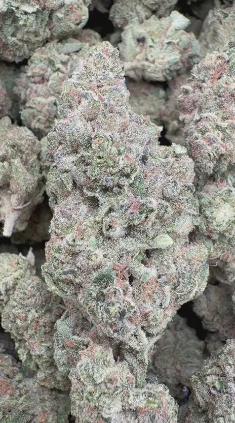 Durban Mintz - Bulk - Indica