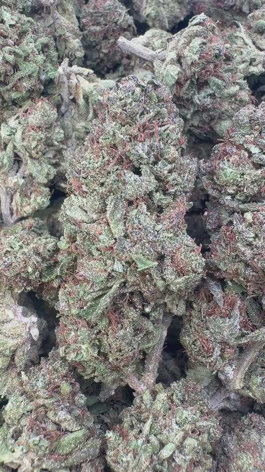 Slurricane - Bulk - Indica