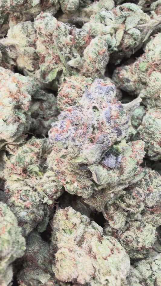 Biscotti 33 Indoor Mediums - Bulk Mediums - Indica