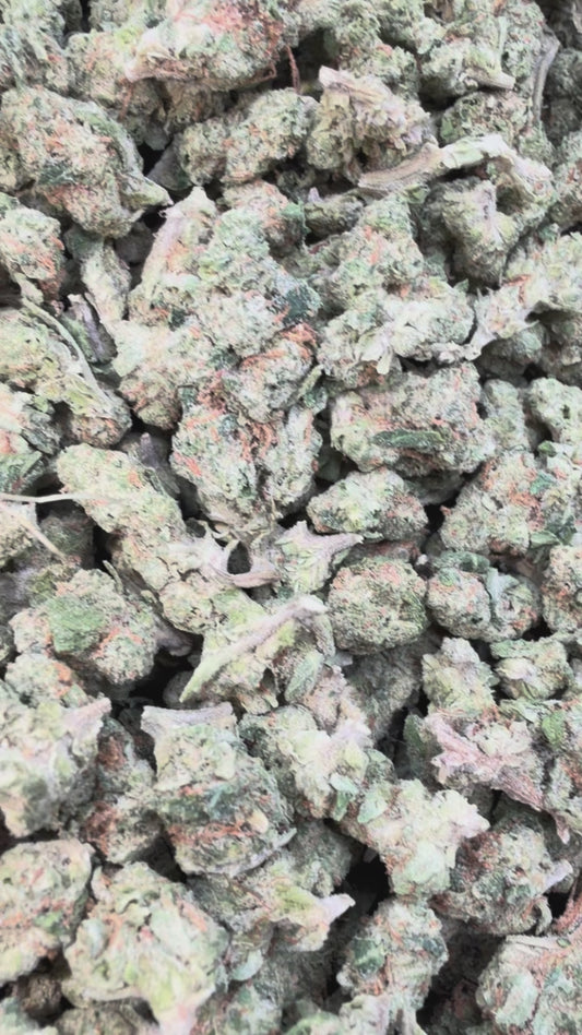 Kush Mintz Minis - Bulk Minis - Hybrid