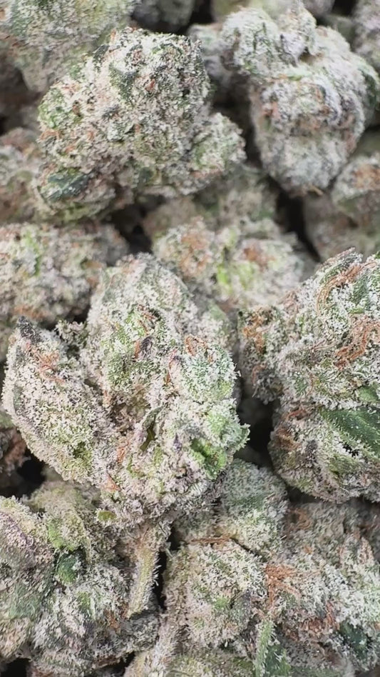 Boutique Exotics  Uncle Snoop - Bulk - Hybrid