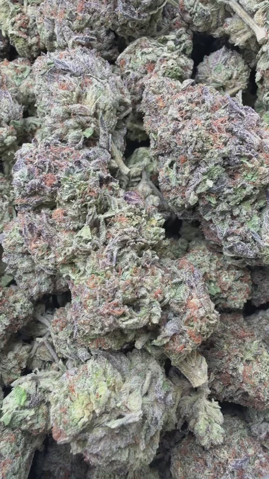 Italian Ice Cream Cookies - Bulk - Hybrid