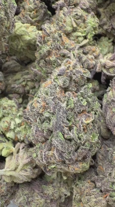Oreoz Indoor - Bulk - Indica
