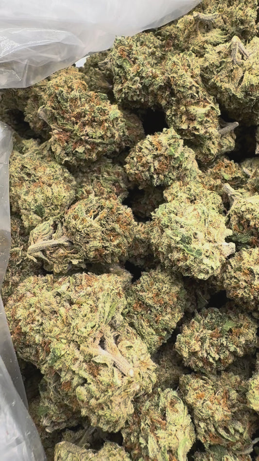 Mochi Gelato - Bulk - Indica