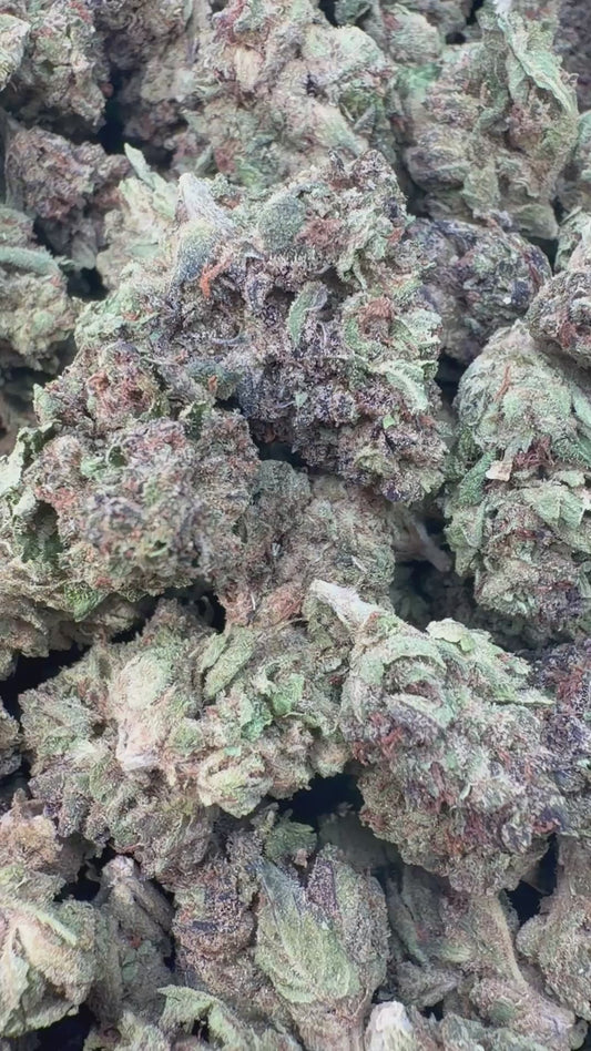 Peak 112 Minis - Bulk Minis - Indica