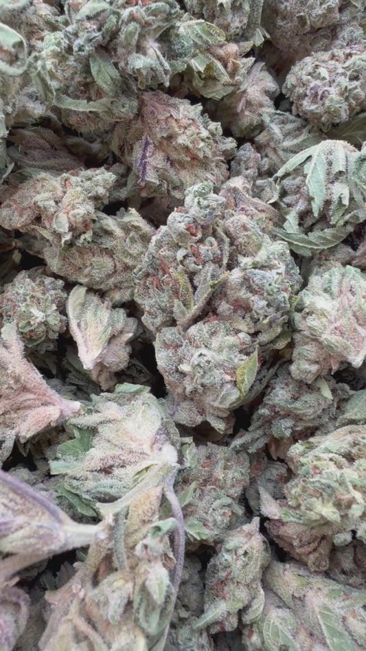 Banjo - Bulk - Sativa