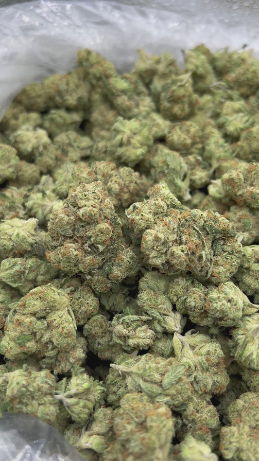 Alien OG - Bulk - Indica