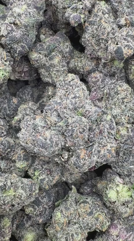 Black Cherry Runtz Indoor - Bulk - Indica