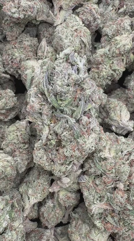 Donutz - Bulk - Indica