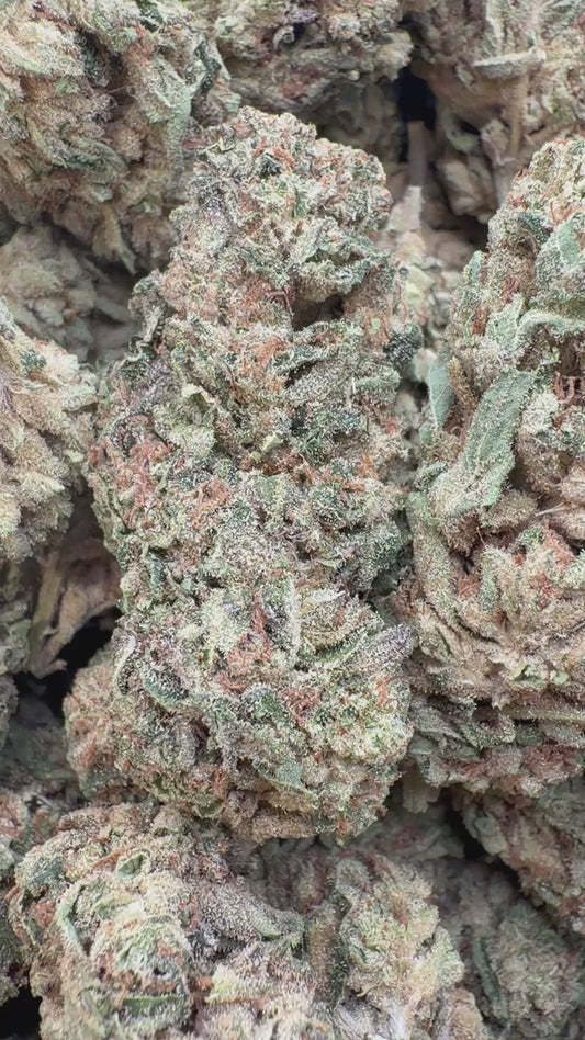 Trainwreck - Bulk - Hybrid
