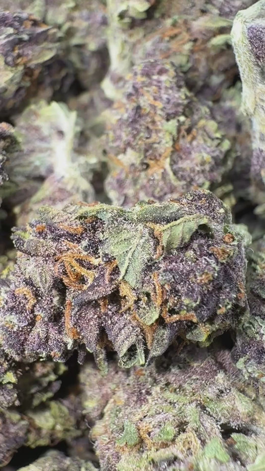 Purple Cookies - Bulk- Hybrid