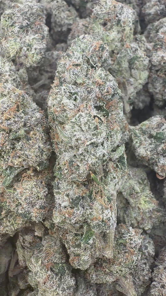Red Runtz Indoor - Bulk - Indica