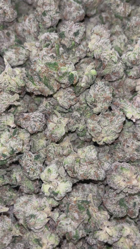 Boutique Exotics  Coffin Candy - Bulk - Hybrid