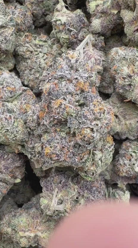 Galactic Runtz Indoor - Bulk - Indica