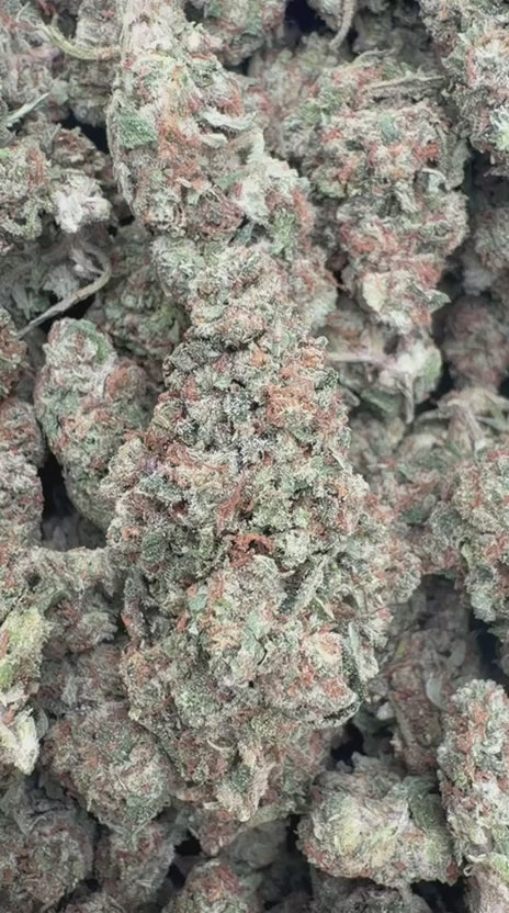 Venom OG - Bulk - Indica