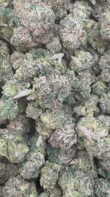Candy Runtz Indoor Littles - Bulk Littles - Hybrid