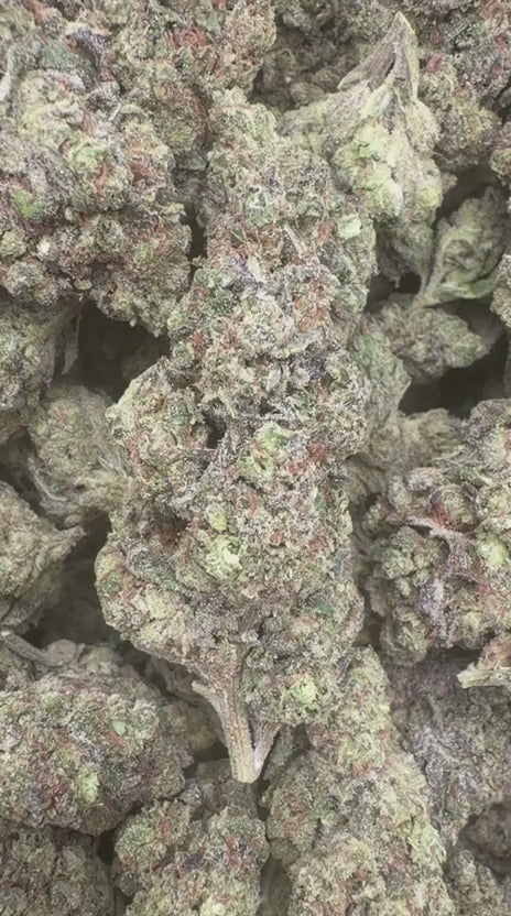 Peanut Butter Souffle Indoor - Bulk - Indica