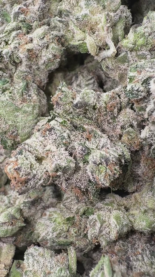 Boutique Exotics  Lemon Dior - Bulk - Hybrid