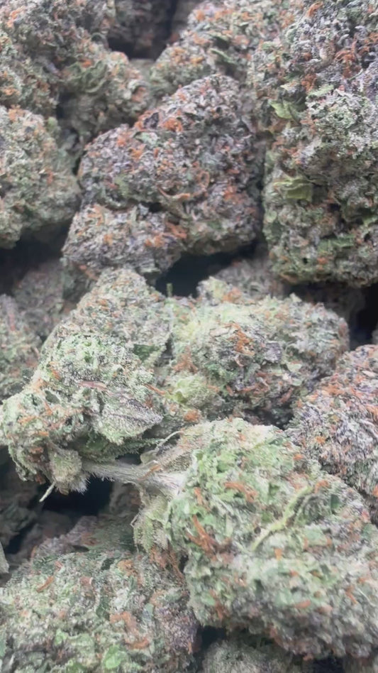 White Biscotti - Bulk - Indica