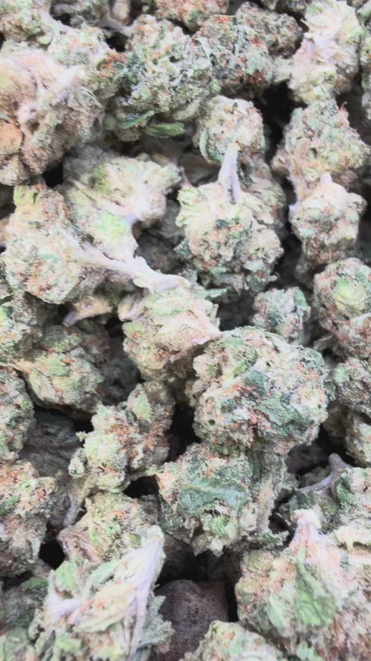 Grease Monkey Minis - Bulk Minis - Indica