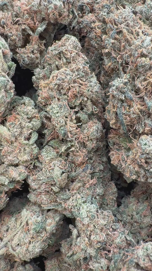 Beyond Blue Dream Indoor - Bulk - Sativa