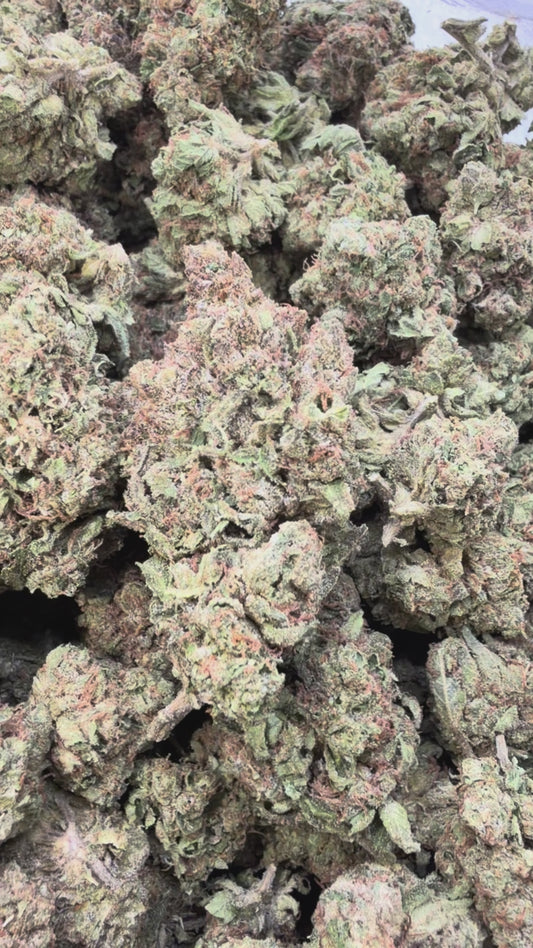 Pink Runtz - Bulk - Hybrid