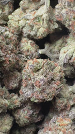 Wedding Crasher- Bulk - Hybrid