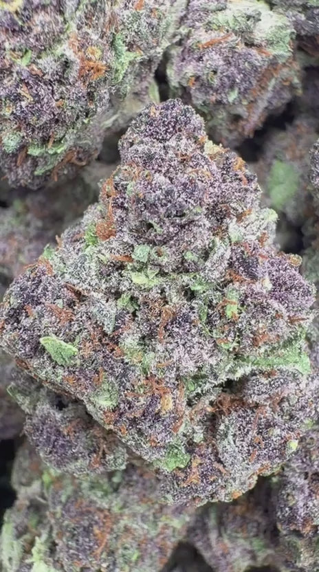 Granddaddy Purple - Bulk - Indica