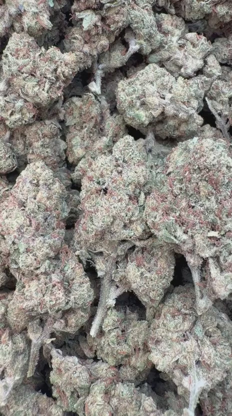 Durban Poison - Bulk - Sativa