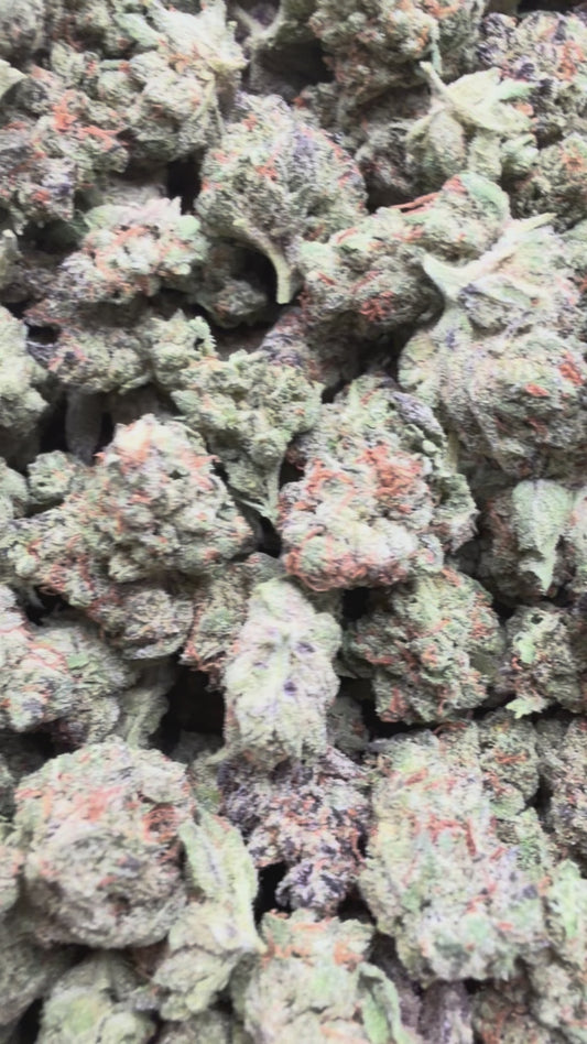 LA Pop Rocks Littles - Bulk Littles - Indica