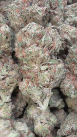 Double Cake - Bulk - Hybrid