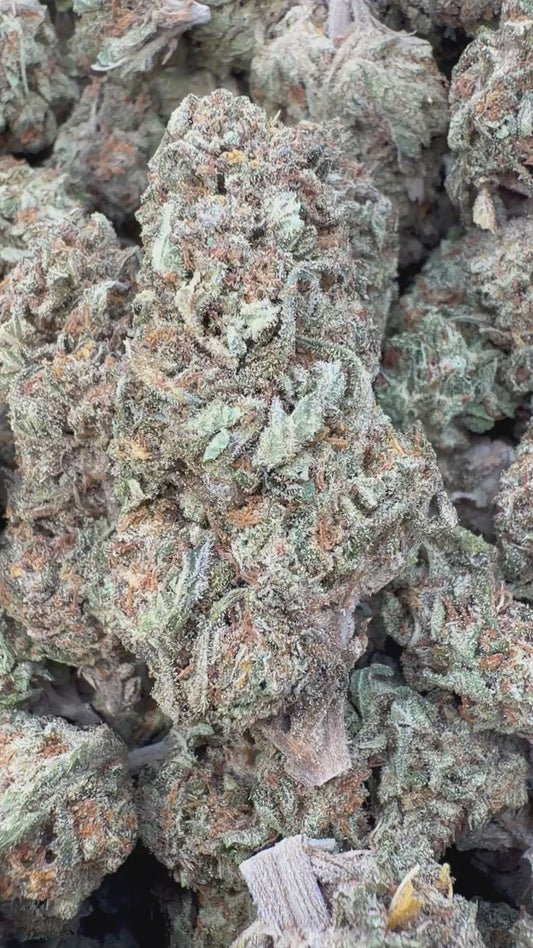Strawberry Cough - Bulk - Sativa