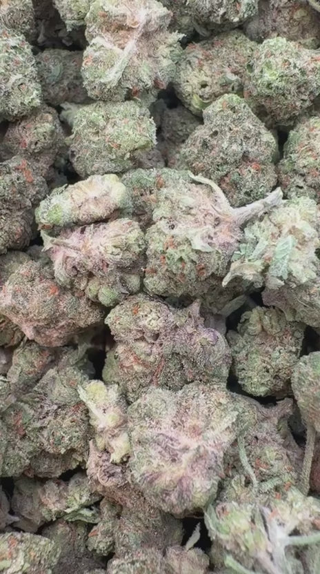 24K Gold Minis - Bulk Minis - Indica