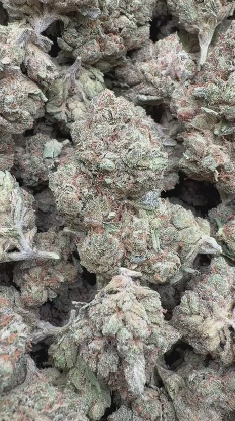 Skywalker OG Indoor - Bulk - Indica