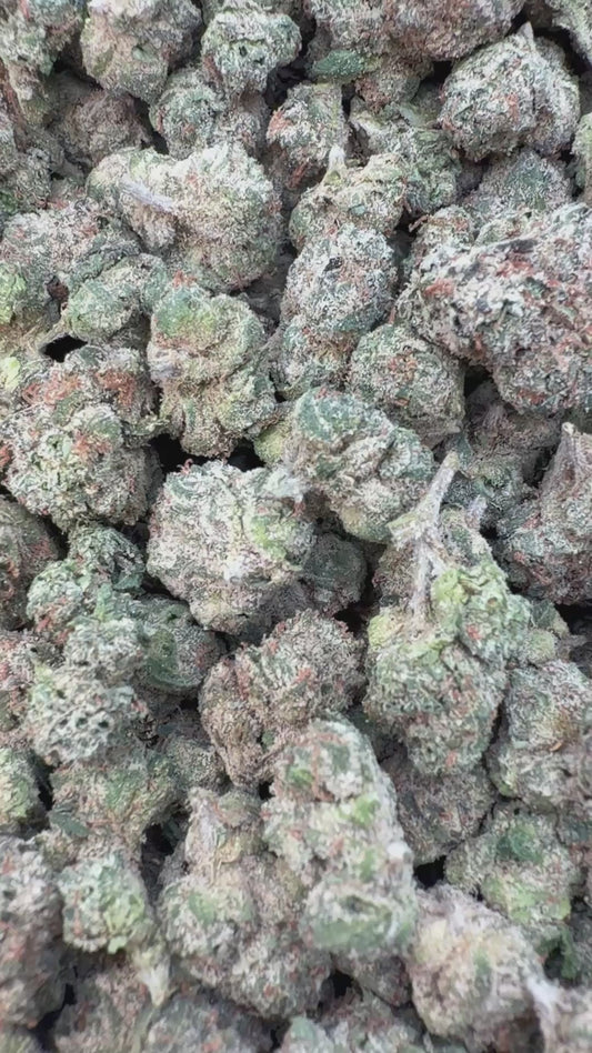 Jolly Ranchers Minis - Bulk Minis - Indica