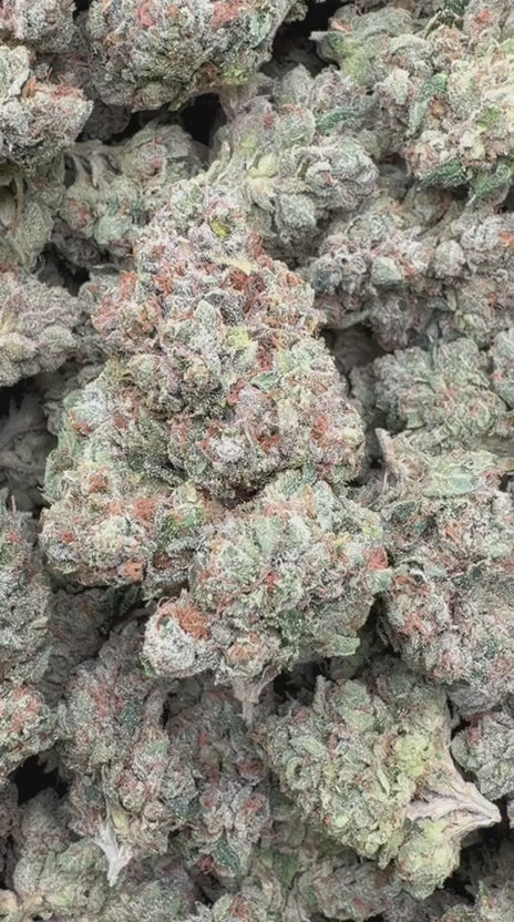 Marathon OG Indoor - Bulk - Indica