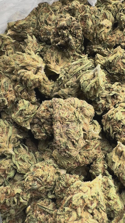 Galaxy OG - Bulk - Indica