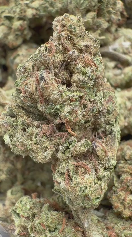 Pineapple Express - Bulk - Sativa