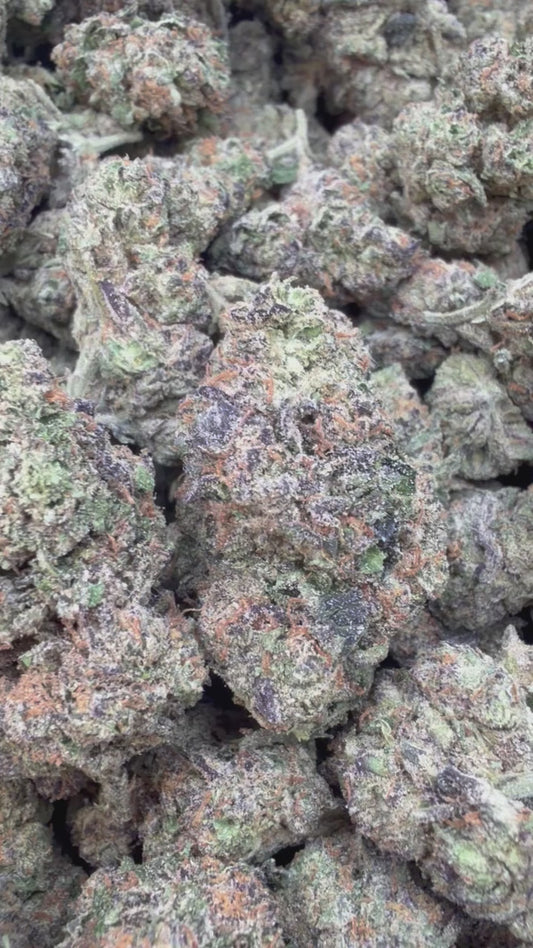 Purple Cookies - Bulk- Hybrid