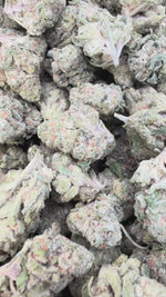 Gusher Mintz Mediums - Bulk Mediums - Hybrid