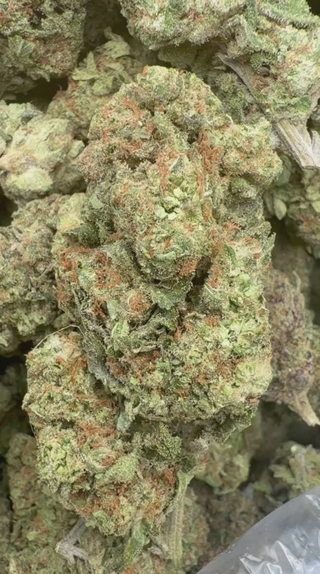 Green Crack - Bulk - Sativa