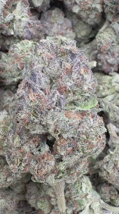 Black Ice - Bulk - Indica